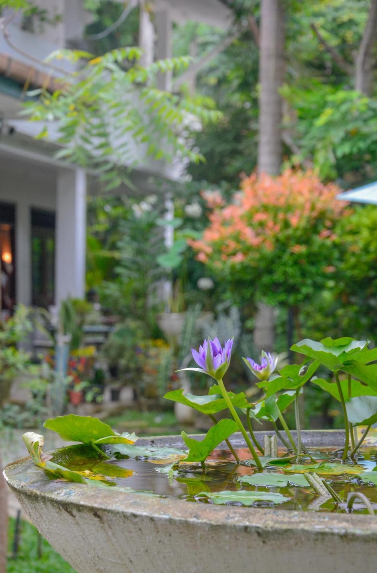 Palm Garden Guest House Galle Dış mekan fotoğraf