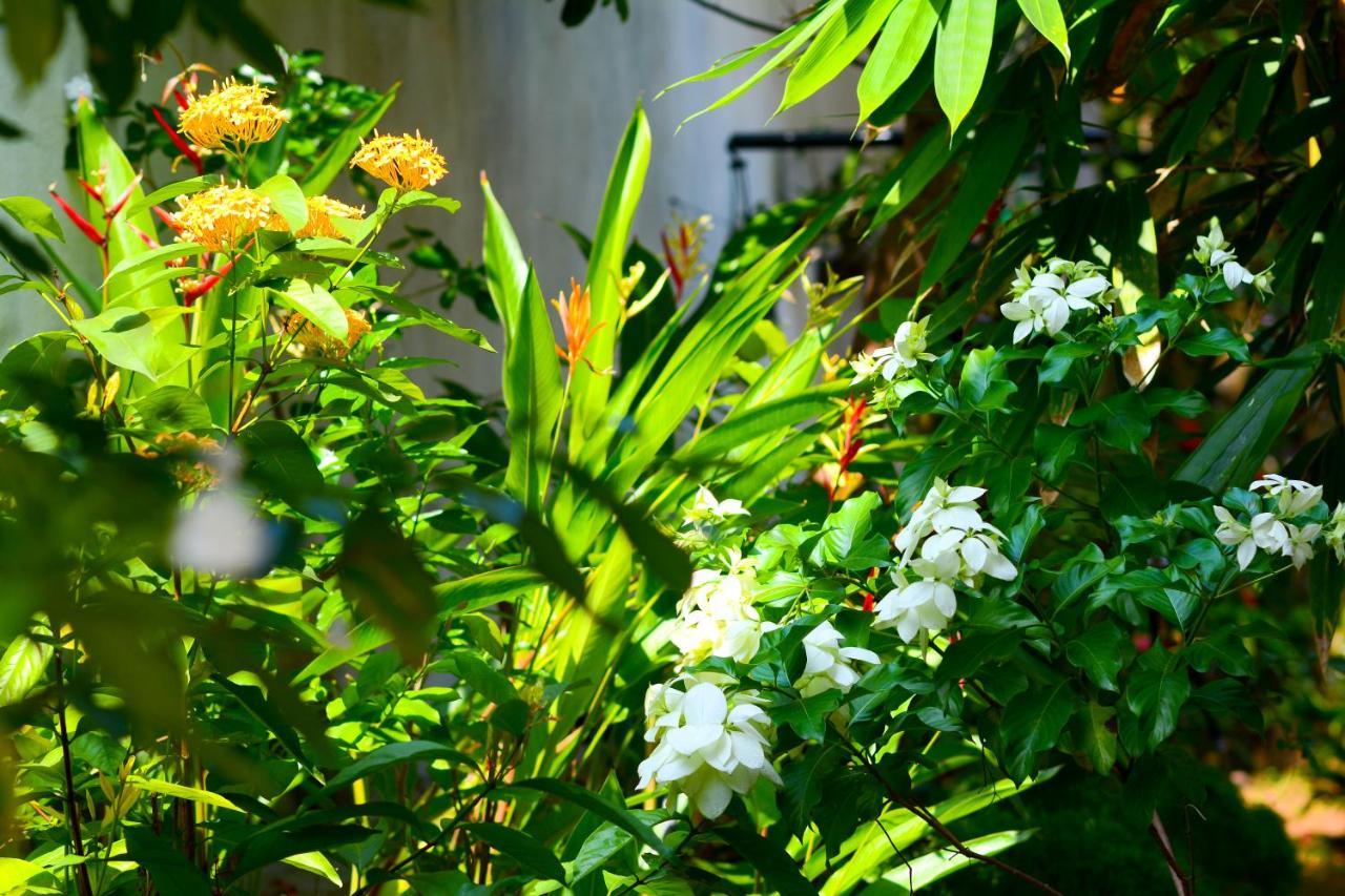 Palm Garden Guest House Galle Dış mekan fotoğraf